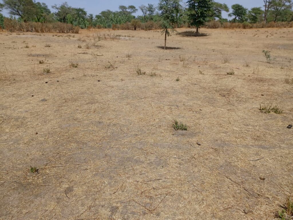 Terrain Agricole de 2,33 hectares vers Notto Diobass – Thiès