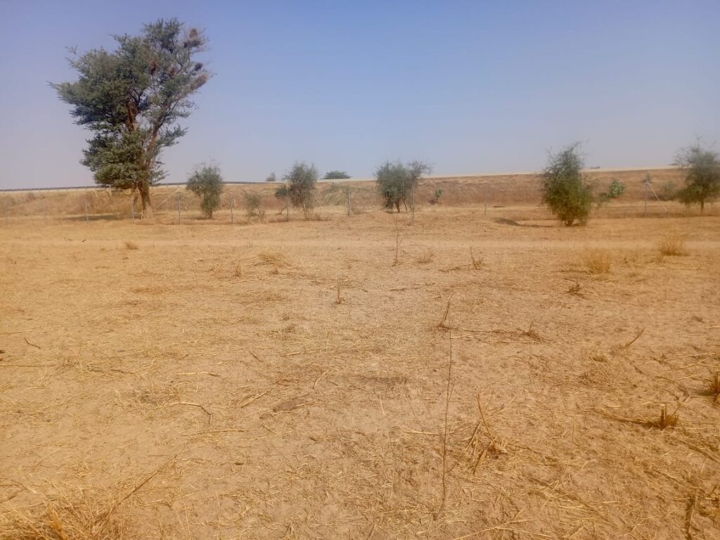 Terrain Agricole de 3,81 Hectares vers Dalla Ngabou – Diourbel