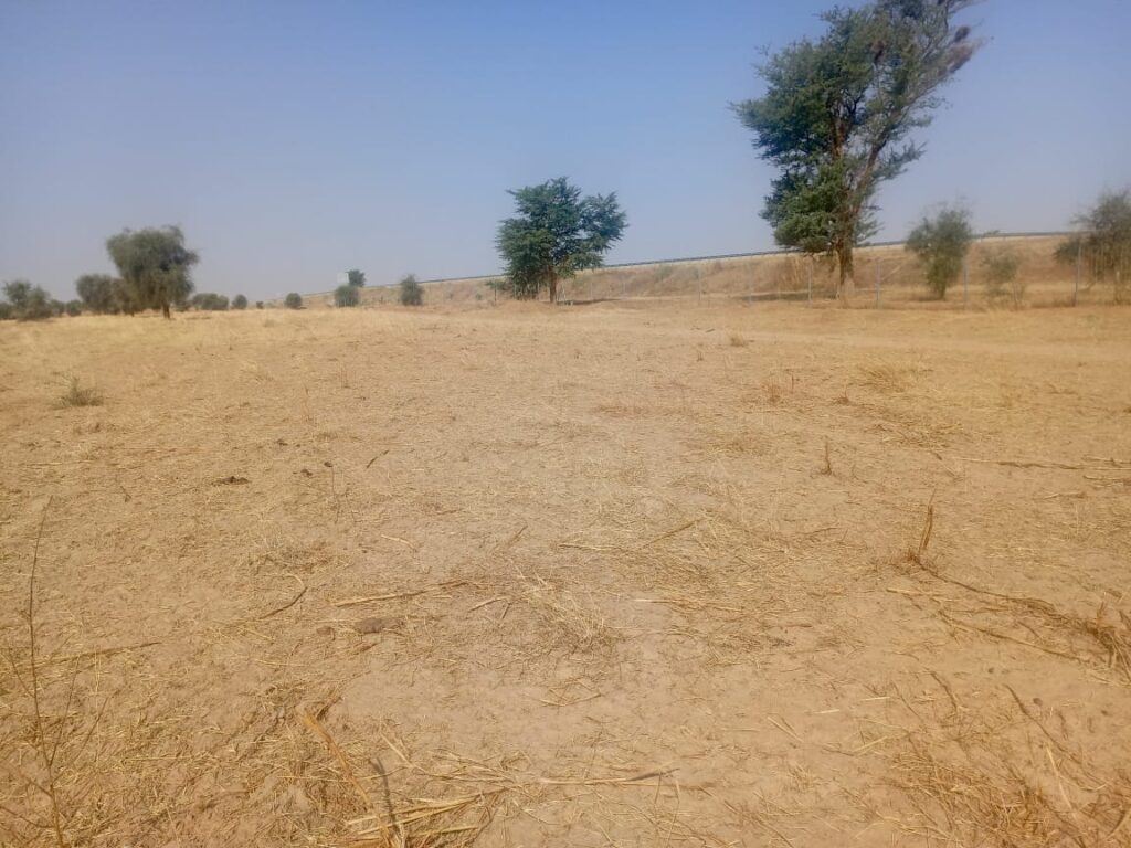 Terrain Agricole de 3,81 Hectares vers Dalla Ngabou – Diourbel