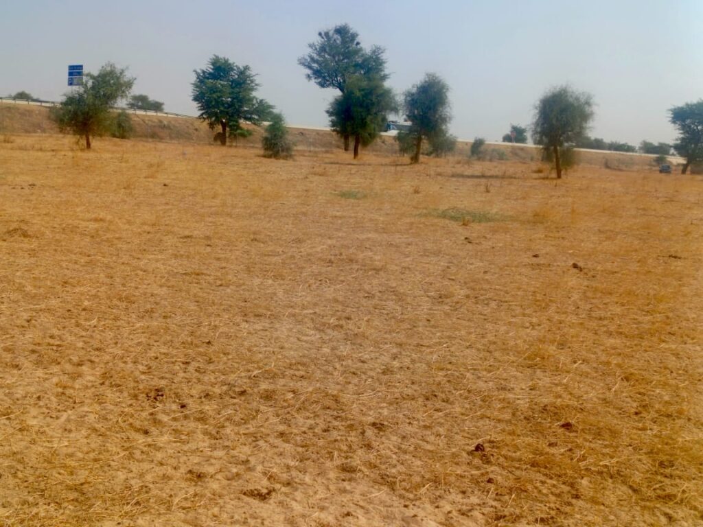 Terrain Agricole de 3,81 Hectares vers Dalla Ngabou – Diourbel