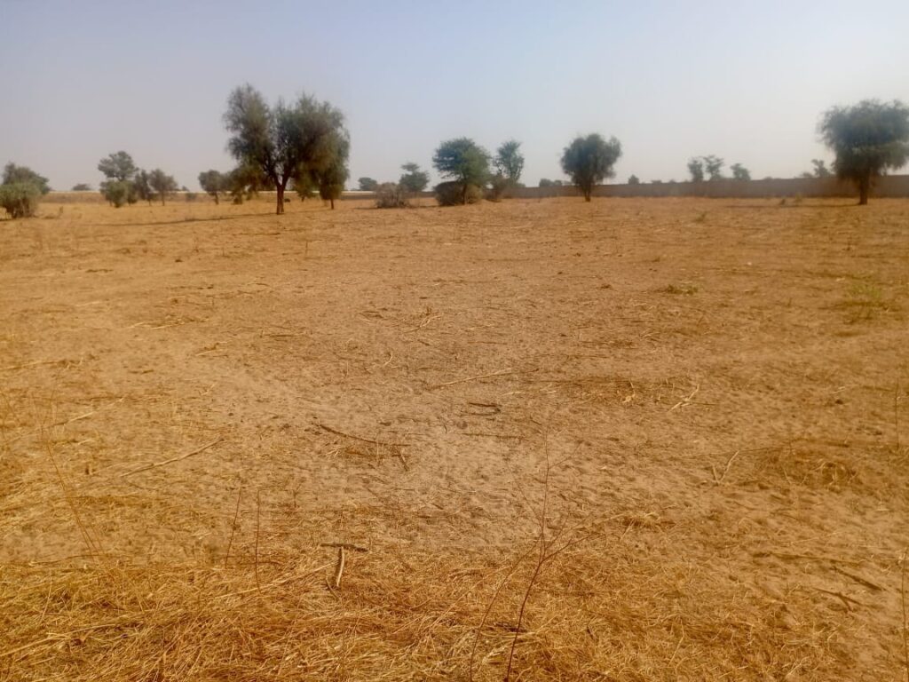 Terrain Agricole de 3,81 Hectares vers Dalla Ngabou – Diourbel