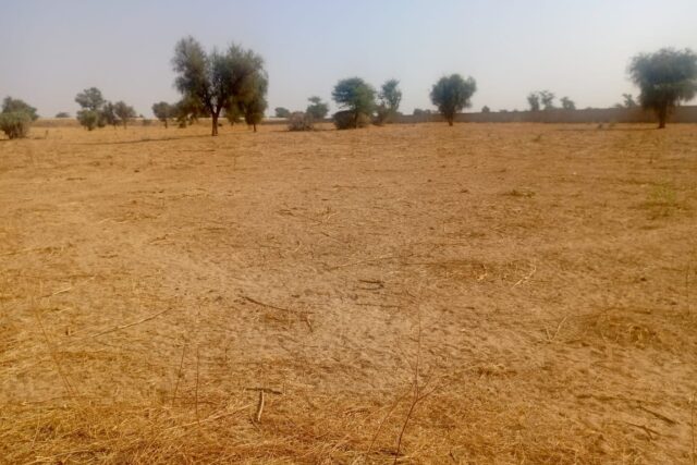 Terrain Agricole de 3,81 Hectares vers Dalla Ngabou – Diourbel