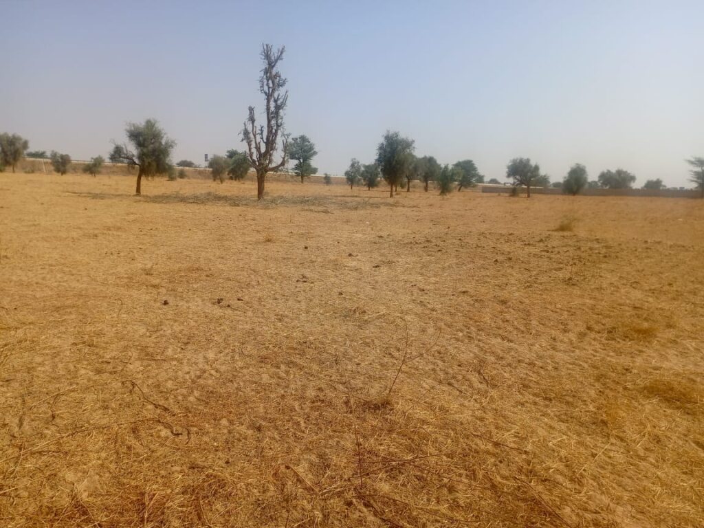 Terrain Agricole de 3,81 Hectares vers Dalla Ngabou – Diourbel