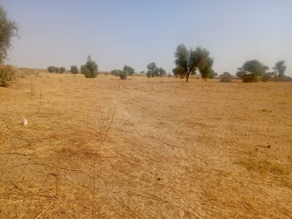 Terrain Agricole de 3,81 Hectares vers Dalla Ngabou – Diourbel