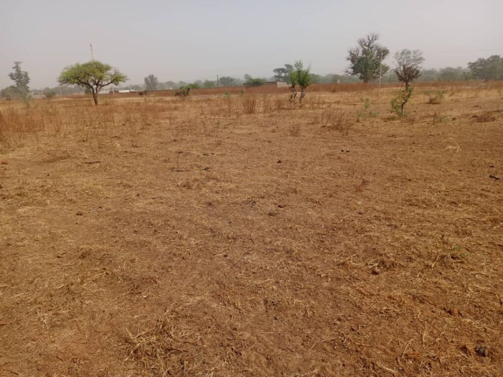 L’emplacement industriel de 1,06 Hectare à Tassette – Thiès