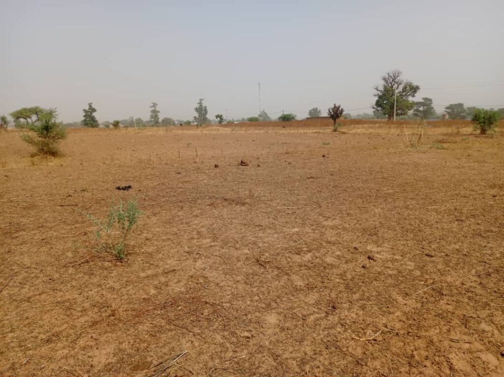 Terrain de 1,06 hectare prêt pour projet de morcellement vers Notto Diobass