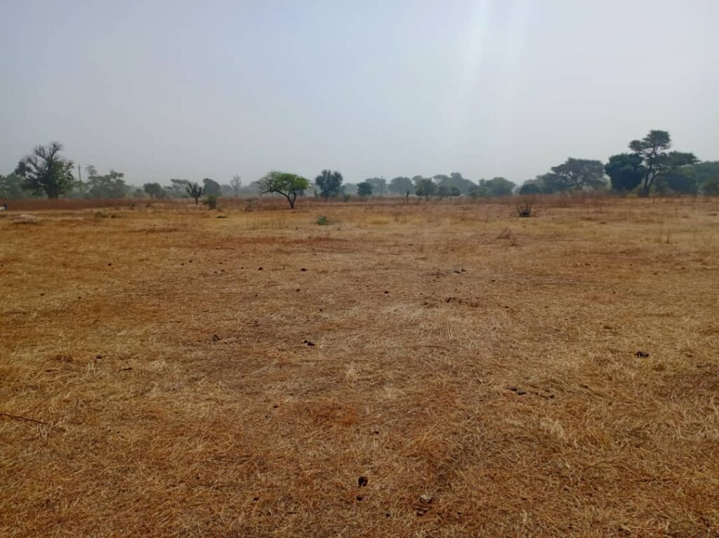 L’emplacement industriel de 1,06 Hectare à Tassette – Thiès