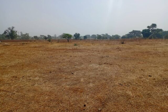 Terrain de 1,06 hectare prêt pour projet de morcellement vers Notto Diobass