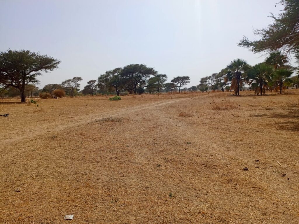 Terrain Agricole de 1,70 Hectare vers Tassette – Thiès