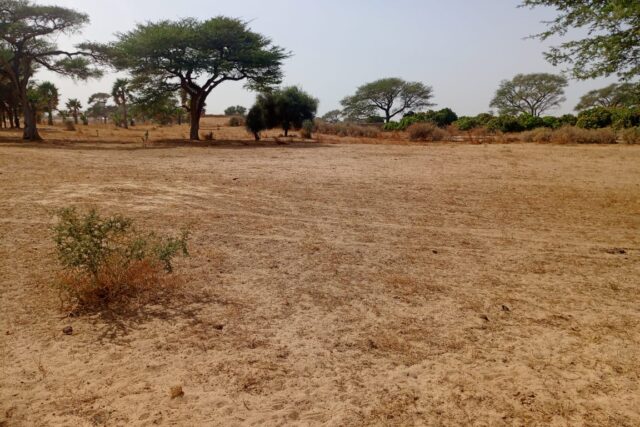 Terrain Agricole de 1,70 Hectare vers Tassette – Thiès