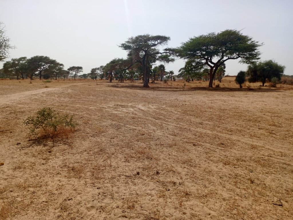 Terrain Agricole de 1,70 Hectare vers Tassette – Thiès