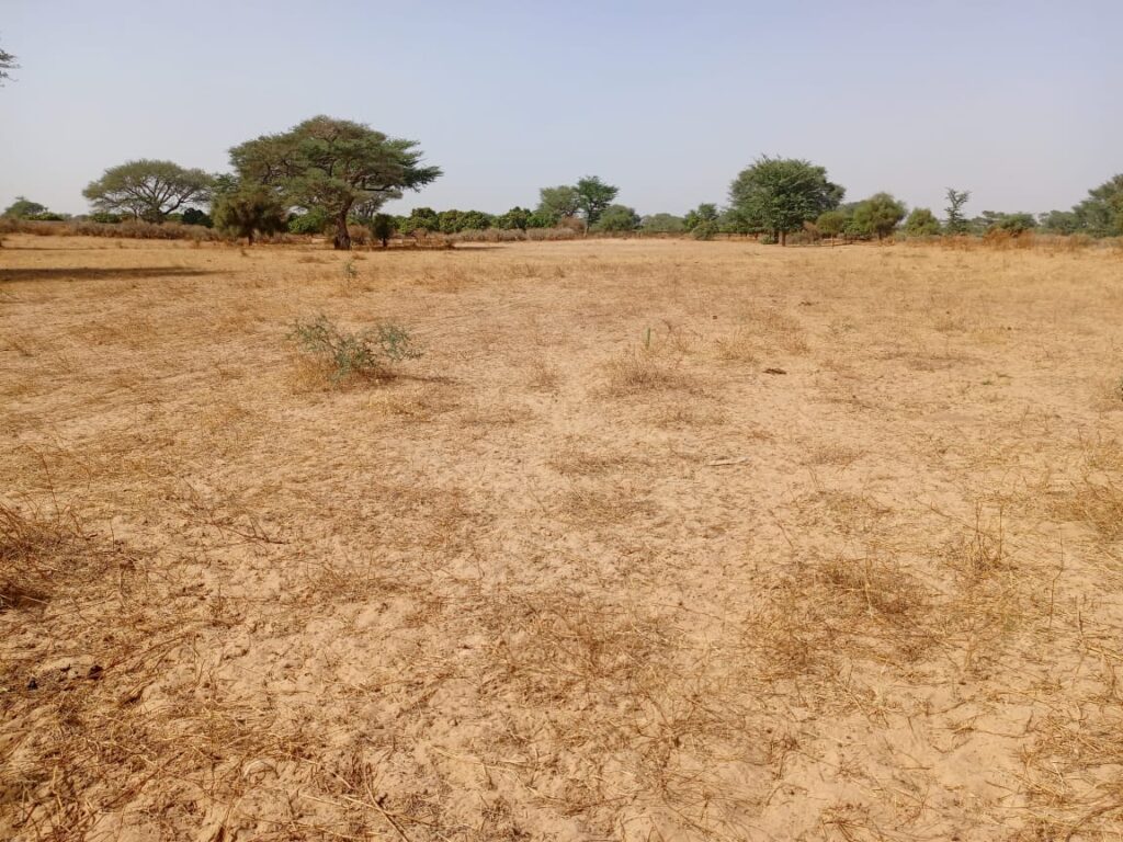 Terrain Agricole de 1,70 Hectare vers Tassette – Thiès