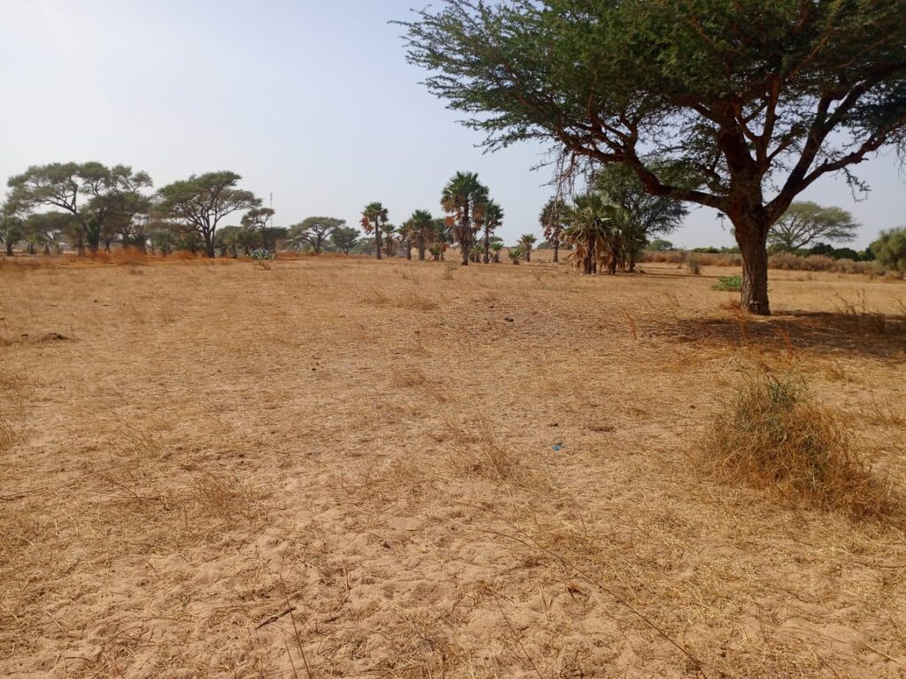 Terrain Agricole de 1,70 Hectare vers Tassette – Thiès