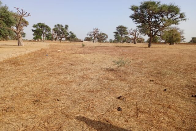 Tassette : 1,35 Hectare stratégique prêt pour votre projet de morcellement