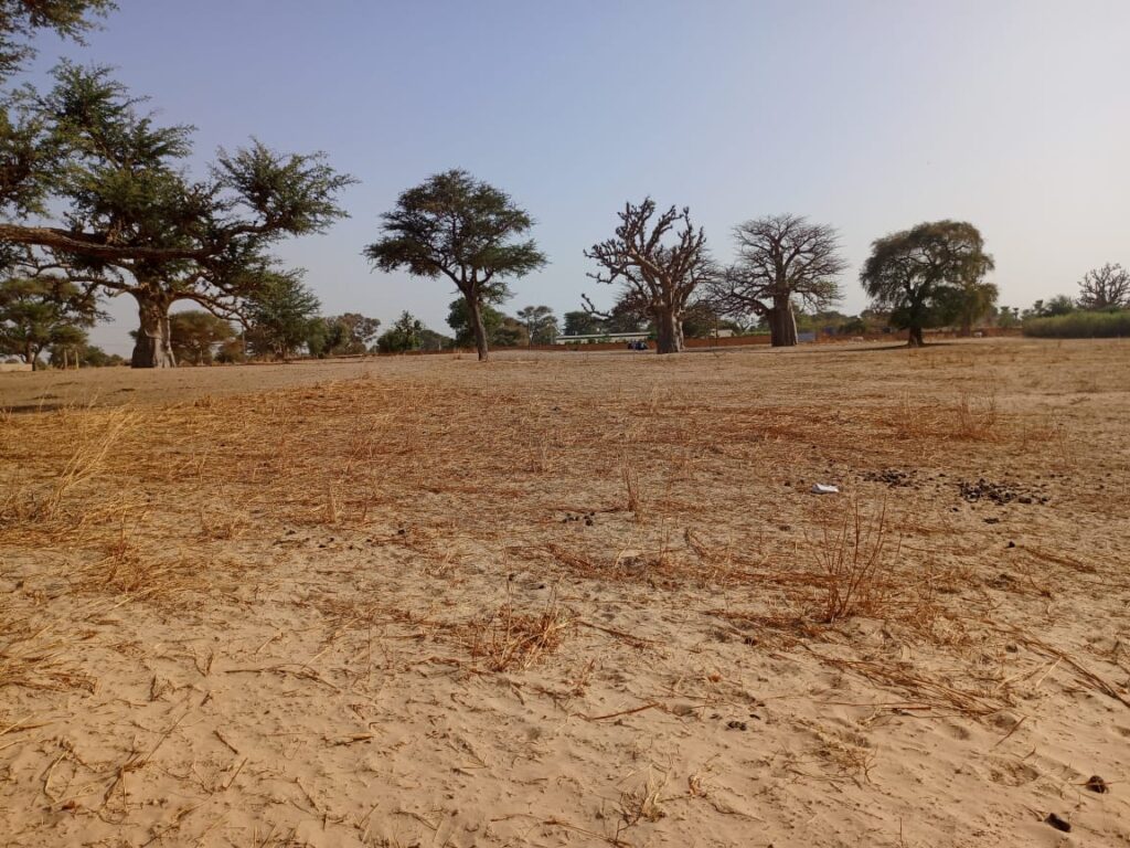 Lancez votre projet d’envergure : 1,35 Hectare stratégiques vers Tassette – Thiès