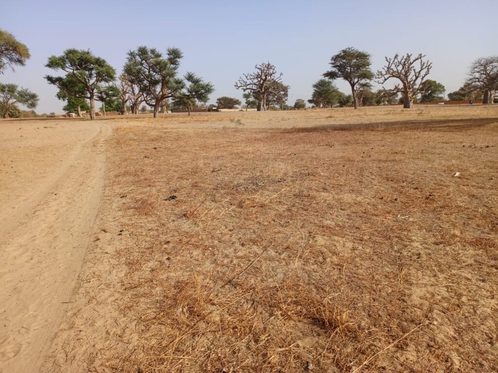 Lancez votre projet d’envergure : 1,35 Hectare stratégiques vers Tassette – Thiès