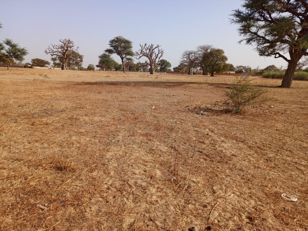 Lancez votre projet d’envergure : 1,35 Hectare stratégiques vers Tassette – Thiès