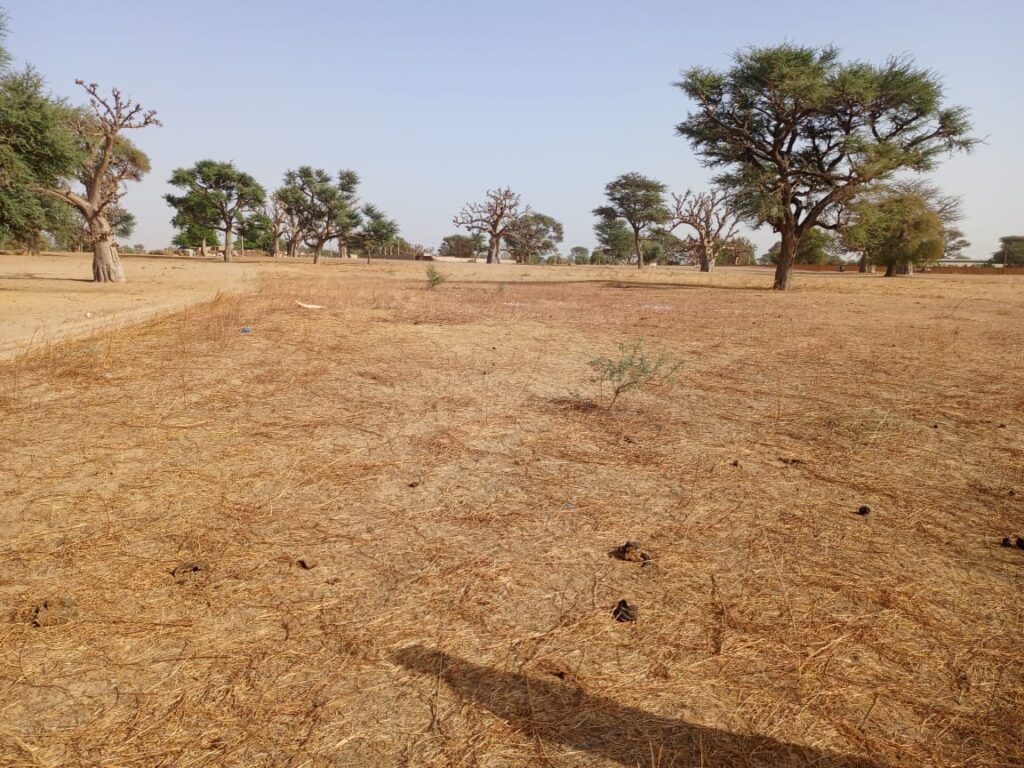 Lancez votre projet d’envergure : 1,35 Hectare stratégiques vers Tassette – Thiès