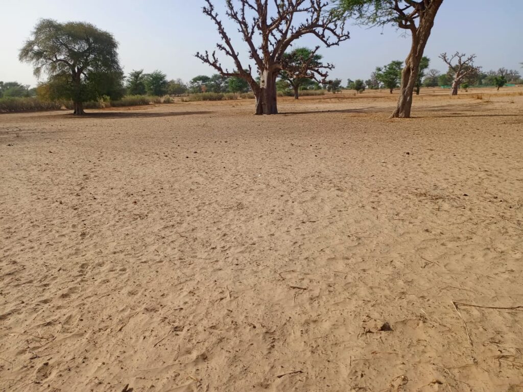 Emplacement de premier choix à Tassette : Foncier industriel de 1,35 hectare prêt à l’emploi