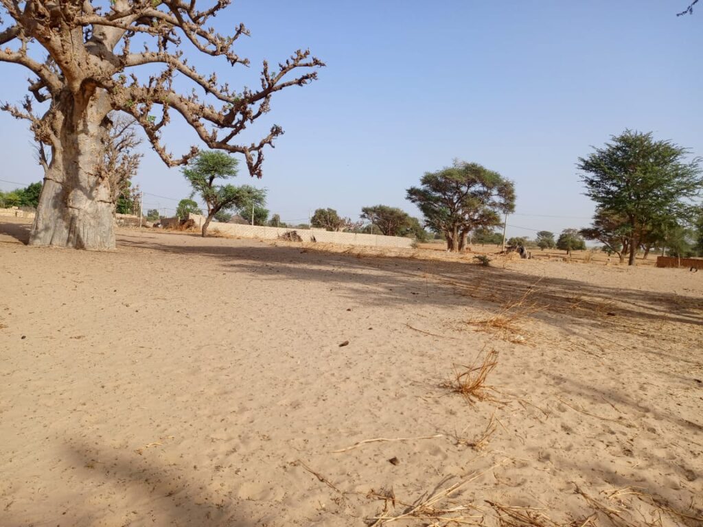 Emplacement de premier choix à Tassette : Foncier industriel de 1,35 hectare prêt à l’emploi