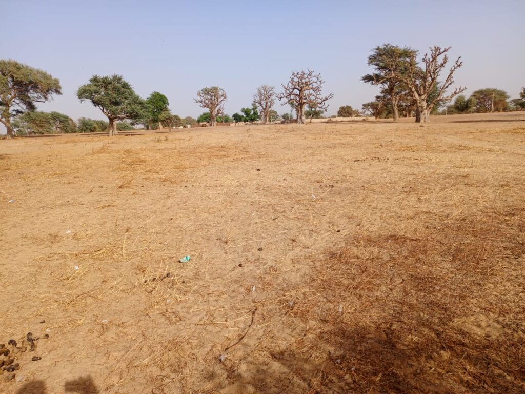 Emplacement de premier choix à Tassette : Foncier industriel de 1,35 hectare prêt à l’emploi