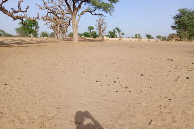 Emplacement de premier choix à Tassette : Foncier industriel de 1,35 hectare prêt à l’emploi