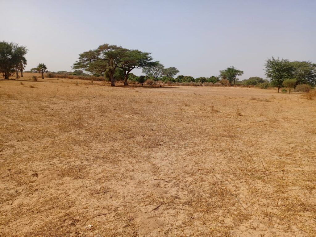 Terrain de 1,70 Hectare en bordure de Piste vers Tassette – Thiès