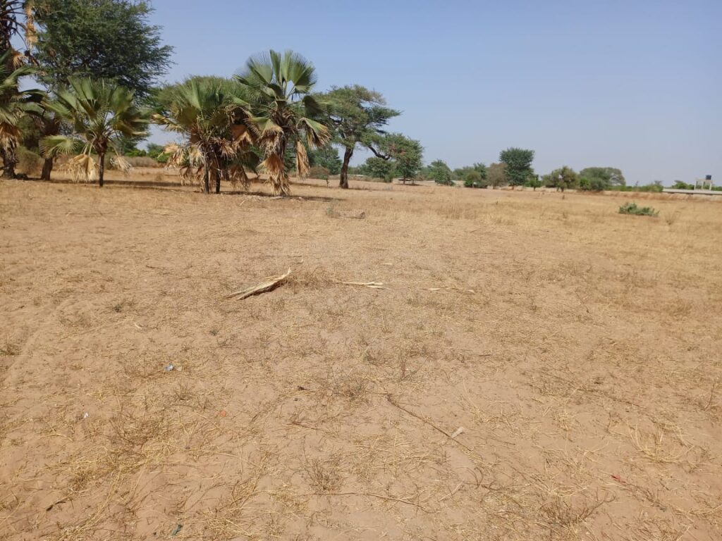 Terrain de 1,70 Hectare en bordure de Piste vers Tassette – Thiès