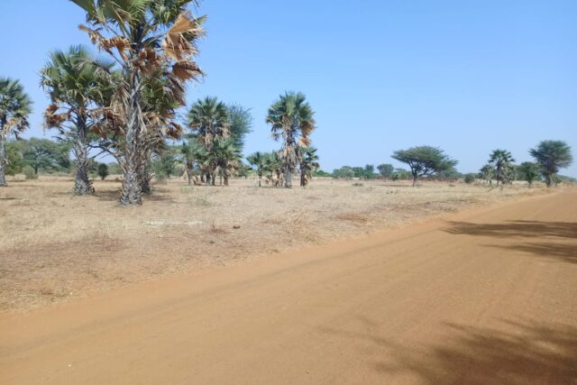 Terrain de 1,70 Hectare en bordure de Piste vers Tassette – Thiès