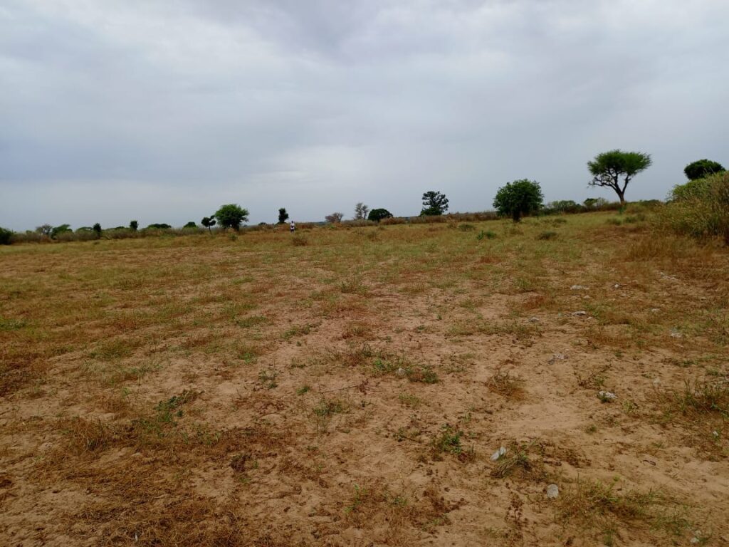 Terrain Agricole de 4.300 m² vers Tassette – Thiès