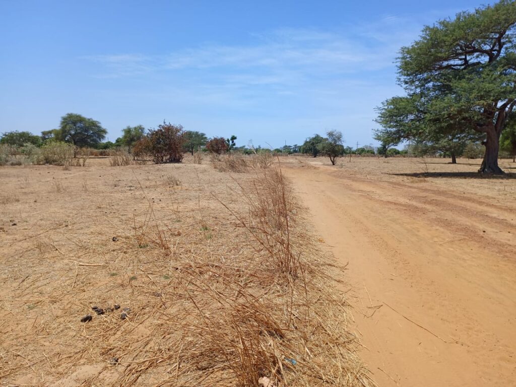 Tassette : 7 590 m² sur Piste stratégiques pour votre pôle industriel