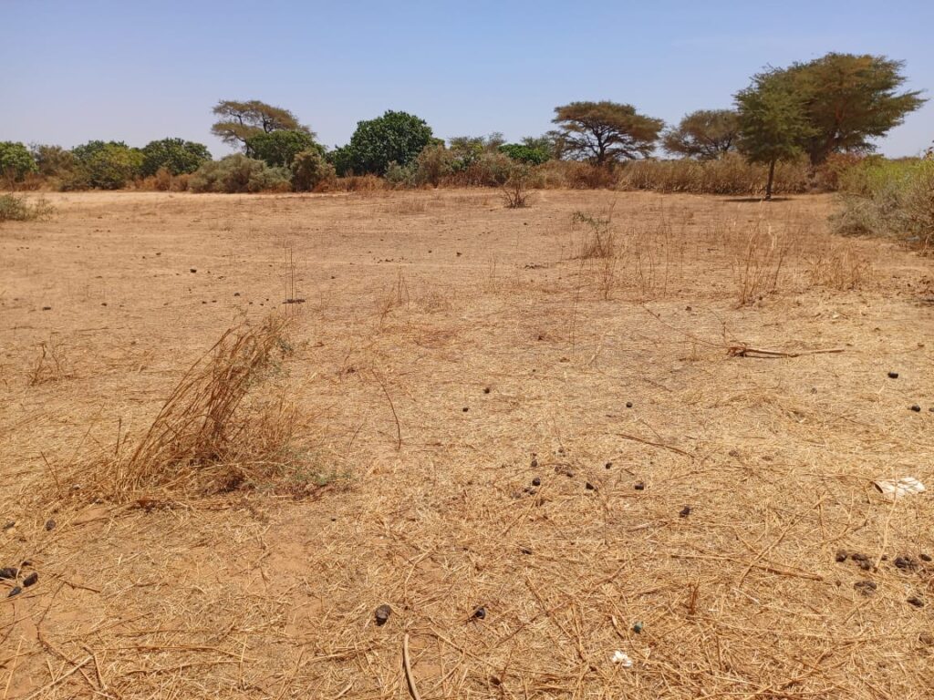 Tassette : 7 590 m² sur Piste stratégiques pour votre pôle industriel