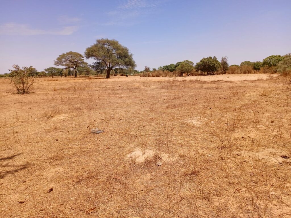 Tassette : 7 590 m² sur Piste stratégiques pour votre pôle industriel