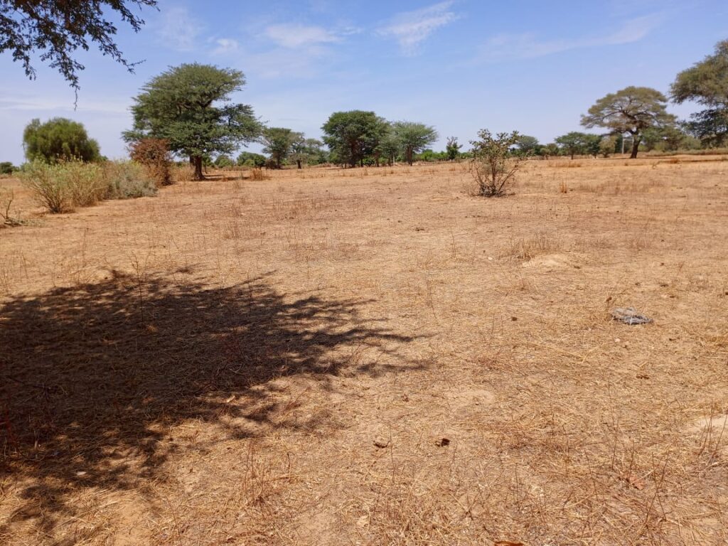 Tassette : 7 590 m² sur Piste stratégiques pour votre pôle industriel