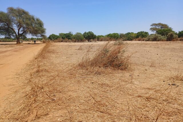 Tassette : 7 590 m² sur Piste stratégiques pour votre pôle industriel