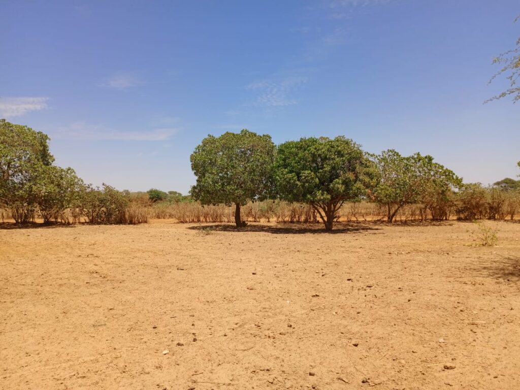 Investissement Vert : 7 590 m² stratégique dans la zone horticole de Tassette