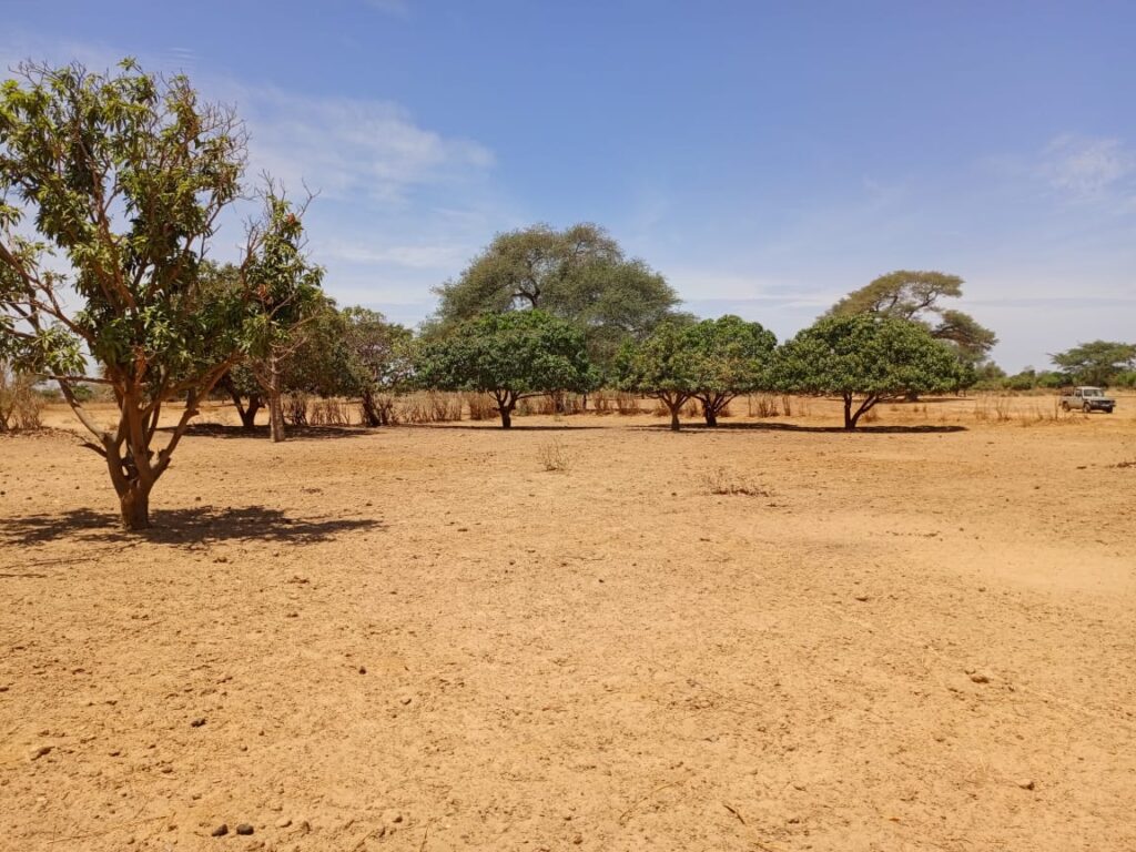 Investissement Vert : 7 590 m² stratégique dans la zone horticole de Tassette