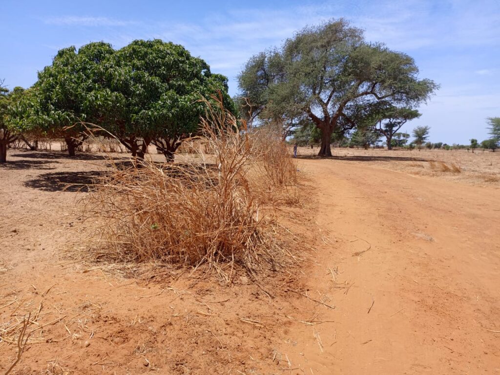 Investissement Vert : 7 590 m² stratégique dans la zone horticole de Tassette