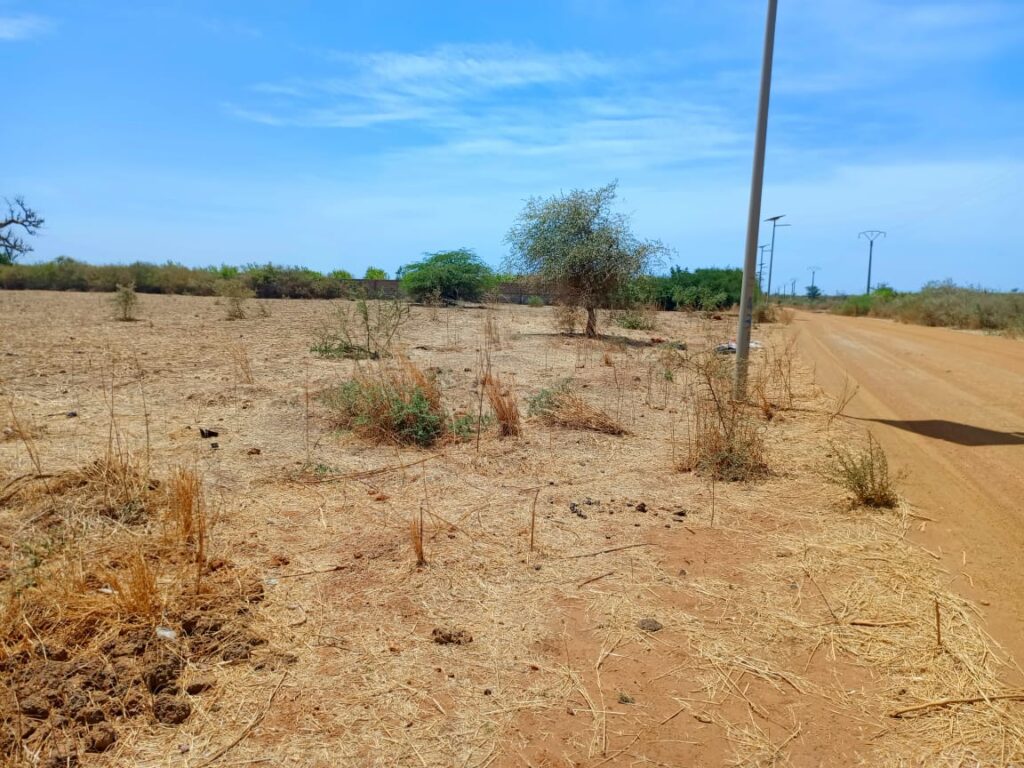 L’emplacement idéal pour votre entreprise à Tassette, 2,71 hectares sur Piste