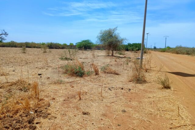 L’emplacement idéal pour votre entreprise à Tassette, 2,71 hectares sur Piste