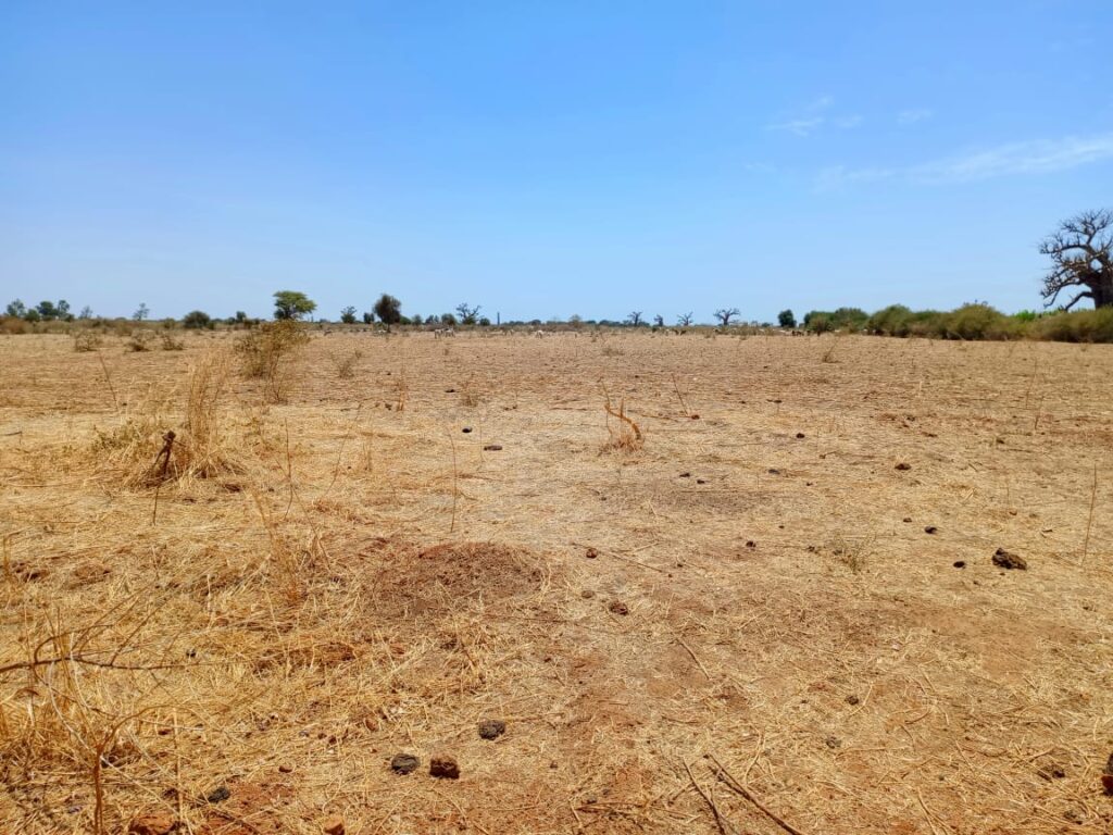 L’emplacement idéal pour votre entreprise à Tassette, 2,71 hectares sur Piste