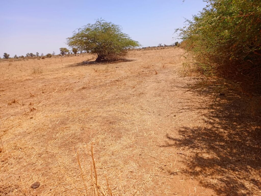 L’emplacement idéal pour votre entreprise à Tassette, 2,71 hectares sur Piste