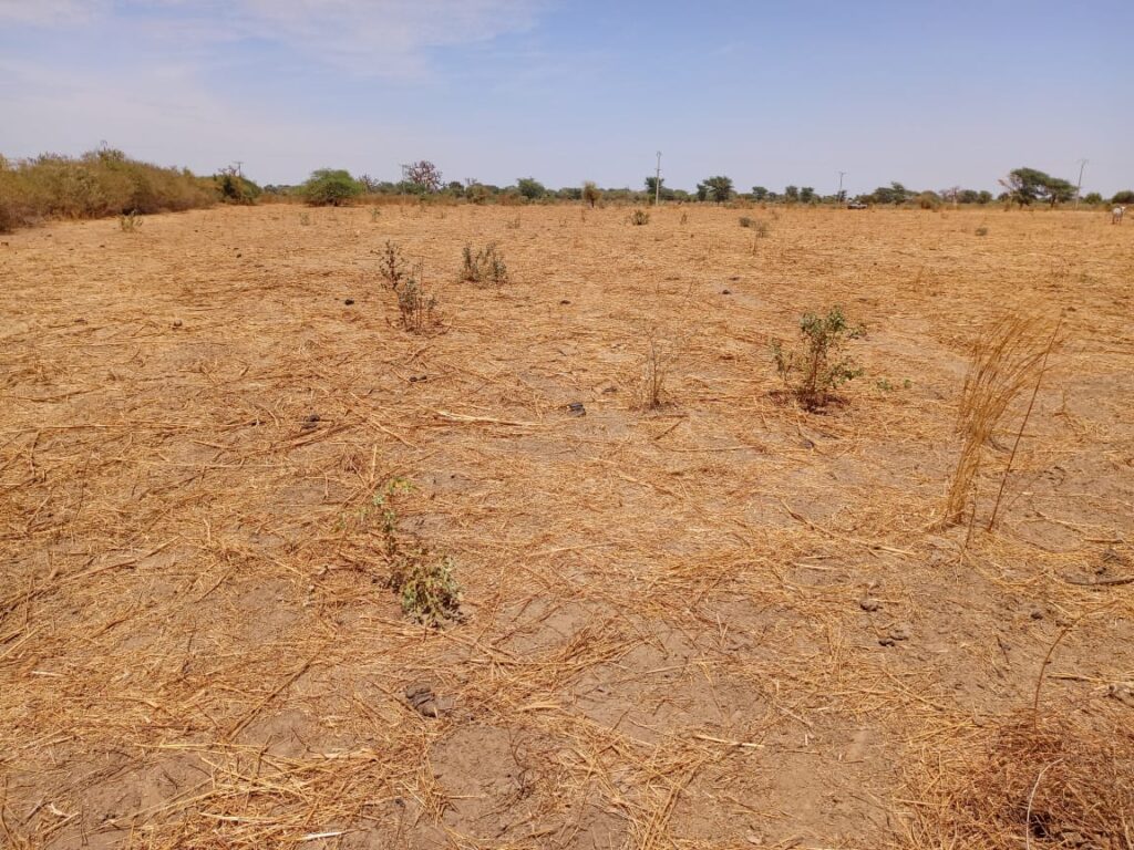 Terrain de 2,71 hectares prêt pour projet de morcellement vers Tassette