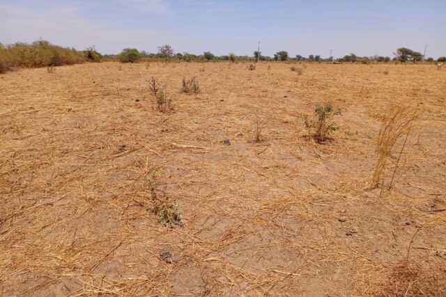 Terrain de 2,71 hectares prêt pour projet de morcellement vers Tassette