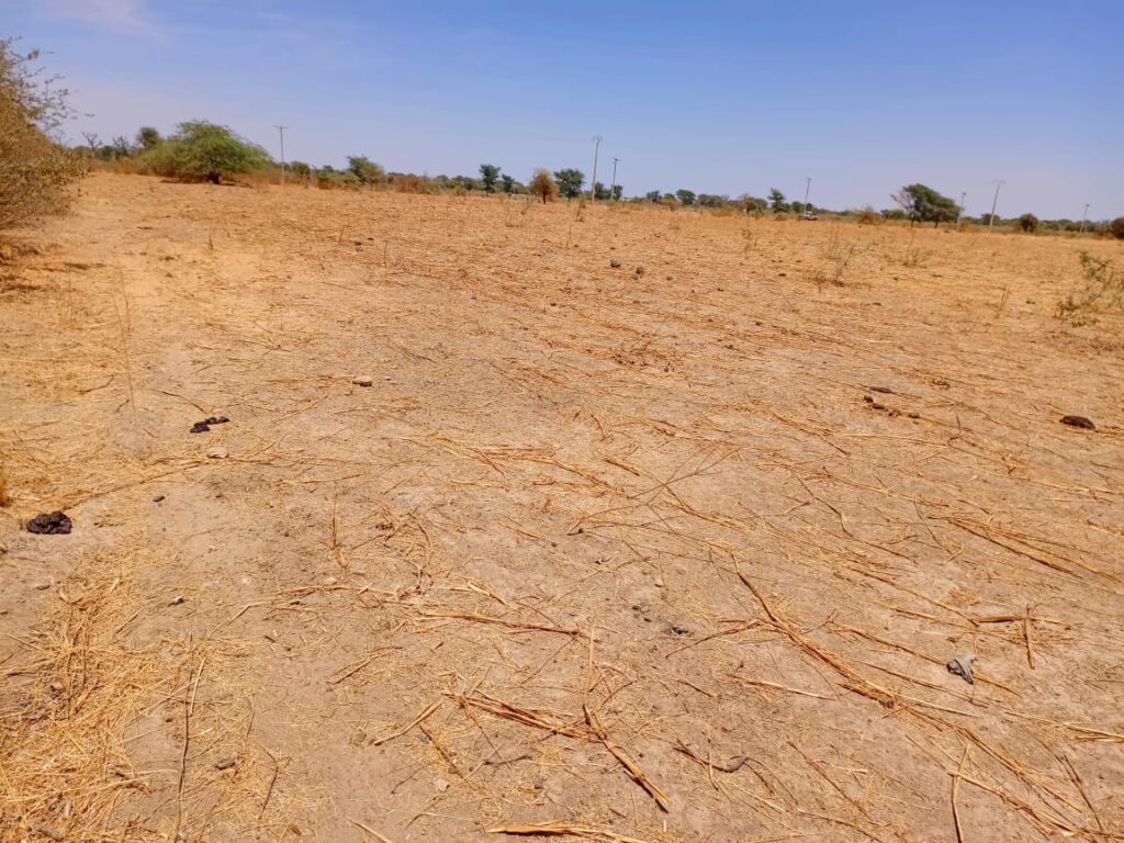 Haute Productivité : Vaste terrain agricole de 2,71 Hectares vers Tassette