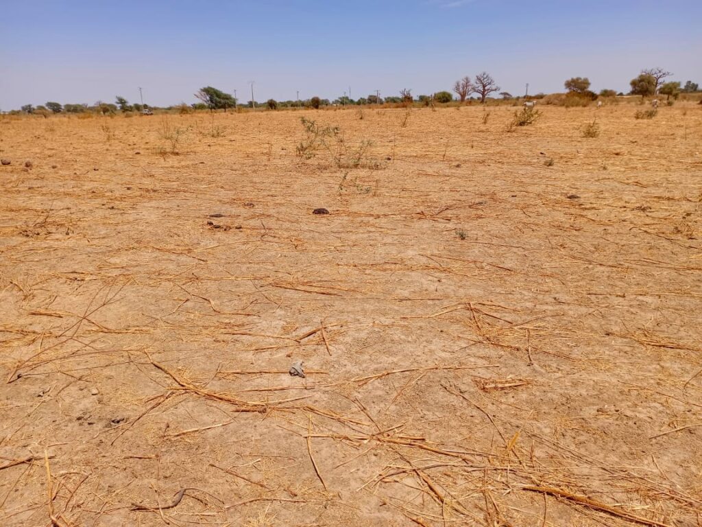 Haute Productivité : Vaste terrain agricole de 2,71 Hectares vers Tassette