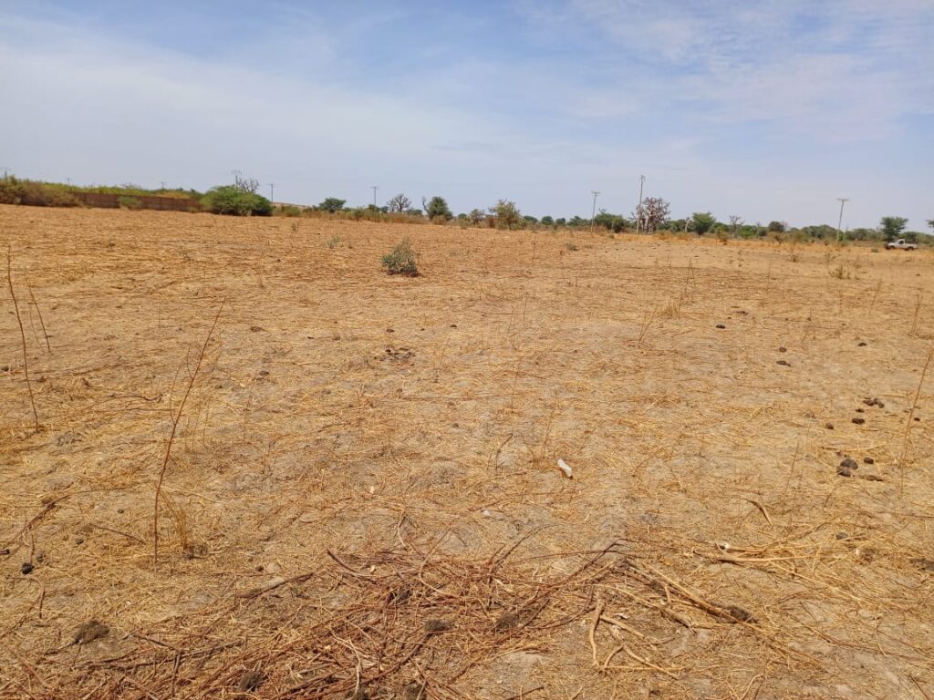 Haute Productivité : Vaste terrain agricole de 2,71 Hectares vers Tassette