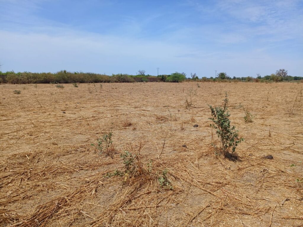 Haute Productivité : Vaste terrain agricole de 2,71 Hectares vers Tassette