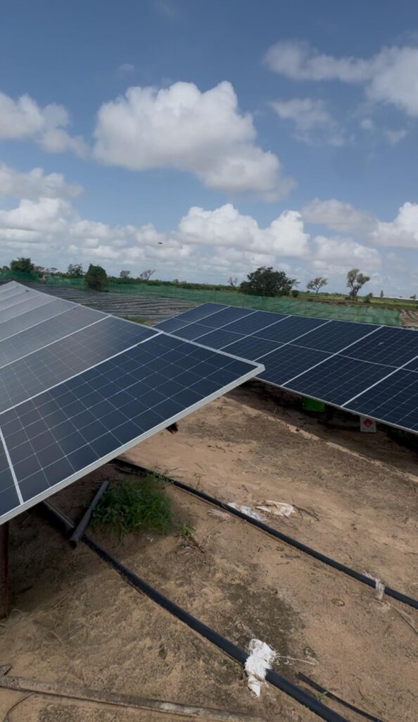 Investissement Vert : 2,03 hectares stratégique dans la zone horticole de Touba Toul