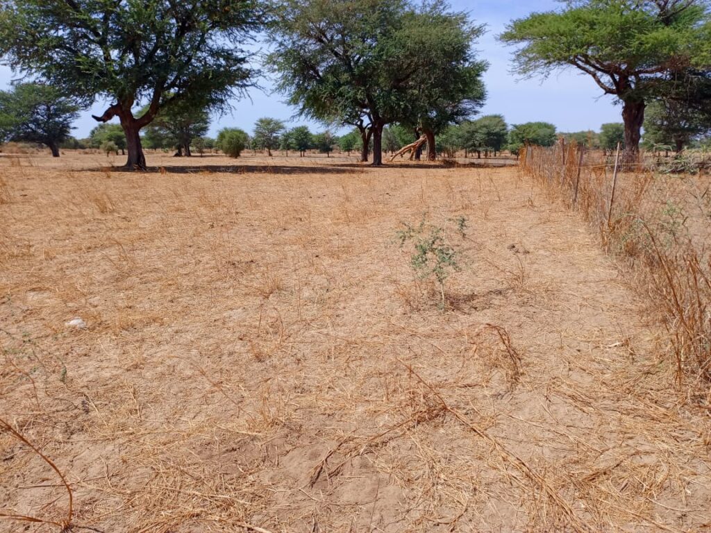 Terrain Agricole de 3,07 Hectares vers Tassette – Thiès